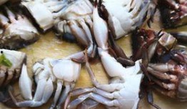 白玉瓜和螃蟹一起吃吗,营养与美味的双重享受