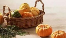 外皮可以吃的瓜,揭秘可食用外皮瓜类美食