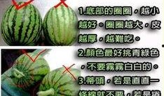 吃瓜吃瓜吃到了生瓜皮,从生瓜皮到美味佳肴的蜕变之旅