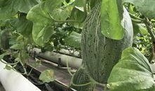 吃观众的瓜,揭秘娱乐圈那些鲜为人知的幕后故事