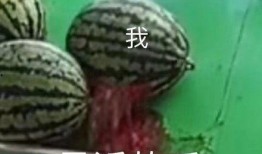 开流量吃瓜,揭秘开流量吃瓜的狂欢世界