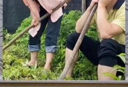 一千粉丝吃瓜视频,吃瓜视频背后的惊人真相