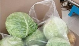 博兴城东吃瓜,夏日吃瓜盛宴，品味生活百态