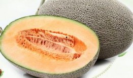 如果没有哈密瓜怎么吃哈密瓜
