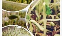 随机吃瓜19集,揭秘娱乐圈背后的惊人真相