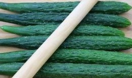 野山瓜怎么吃,探索自然美味的新境界