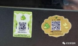 吃瓜贴怎么贴,如何巧妙制作热门话题