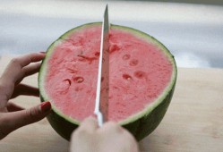 大口的吃瓜,畅享夏日清凉时光