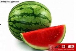 晚上吃碎瓜最好,轻松享受健康美味