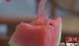 女人打架吃瓜视频,吃瓜群众看热闹不嫌事大