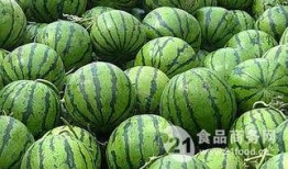 河北金属吃瓜事件,一场引发社会关注的食品安全风波