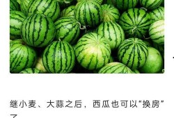 吃瓜10元,揭秘娱乐圈幕后真相