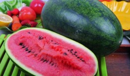 盐工吃瓜,揭秘职场八卦背后的真相