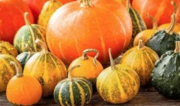 恐怖糖果吃瓜,吃瓜群众揭秘惊悚幕后