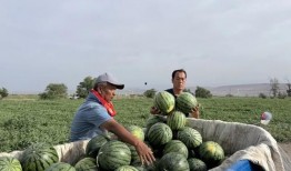 武船吃瓜,揭秘我国海军舰艇的“美食”生活