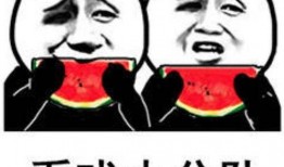 装傻和吃瓜表情包,笑看人生百态