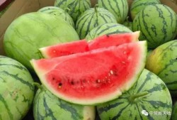 满甜吃瓜,揭秘娱乐圈那些不为人知的幕后故事