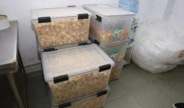 带你吃瓜小熊饼干,带你品尝“带你吃瓜小熊饼干”的独特美味之旅