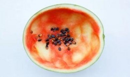 吃西瓜蜜瓜勺子,西瓜蜜瓜勺子的甜蜜之旅