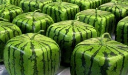 中国吃瓜省份,品味地域特色美食之旅