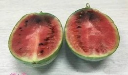 终于可以回家吃瓜,畅享家乡美味瓜果时光