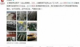 360无死角吃瓜群众图,揭秘“无死角吃瓜群众”图背后的故事