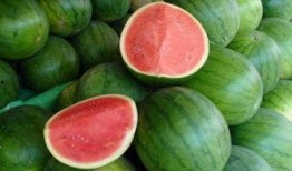 瓜根本吃不过来,根本吃不过来的美味诱惑