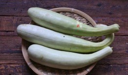 白色玉瓜怎么吃最好,解锁美味新境界