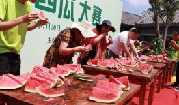 吃瓜看表演,现场表演精彩纷呈