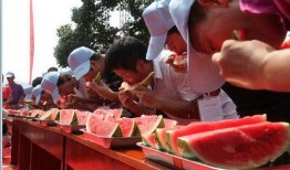 南汇吃瓜大赛,一场吃瓜大赛的欢乐盛宴