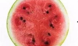 终于可以回家吃瓜,畅享家乡美味瓜果时光