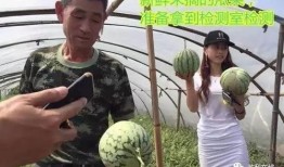 加油吃瓜群众直播,揭秘“加油吃瓜群众”的火爆现场