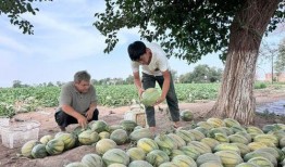 全国吃瓜看热闹,全民娱乐时代的众生相