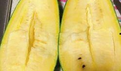 朝三吃瓜图,揭秘宫廷秘闻背后的权谋与智慧