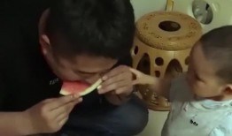 亲爸爸吃瓜,一场家庭情感的趣味之旅