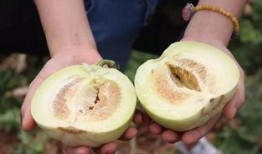 满甜吃瓜,揭秘娱乐圈那些不为人知的幕后故事