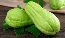 佛手瓜和什么菜能一起吃,探寻健康美食新境界