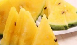 吃瓜图合集,趣味横生的瞬间捕捉