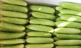 9.1吃瓜网,热门话题追踪，娱乐资讯一手掌握