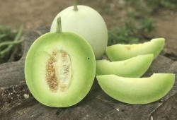 吃瓜中心吃最新最热的瓜,揭秘最新最热瓜料背后的真相