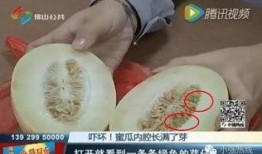 随机吃瓜19集,揭秘娱乐圈背后的惊人真相