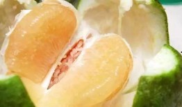 吃白瓜会升多少糖,白瓜食用对血糖影响解析