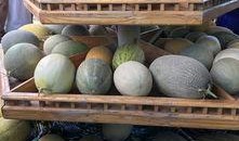 吃观众的瓜,揭秘娱乐圈那些鲜为人知的幕后故事