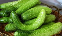 钓鱼吃瓜图片,悠然自得的生活画卷