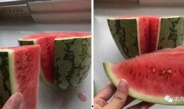 大口的吃瓜,畅享夏日清凉时光