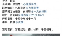 理性吃瓜视频讲解,揭秘网络热点背后的真相与思考