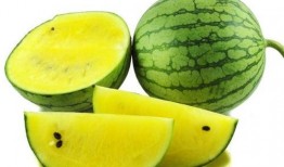 寿光东城吃瓜图片,一场别开生面的“吃瓜”盛宴