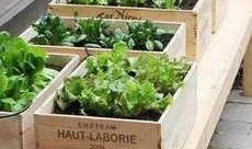 坐在阳台吃瓜,夏日悠闲时光