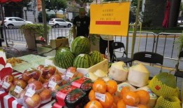 吃蜜瓜看影视,甜蜜滋味中的光影之旅