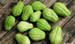 佛手瓜和什么菜能一起吃,探寻健康美食新境界